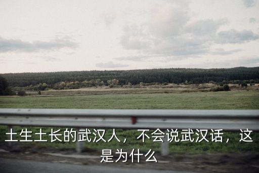 土生土長的武漢人，不會說武漢話，這是為什么
