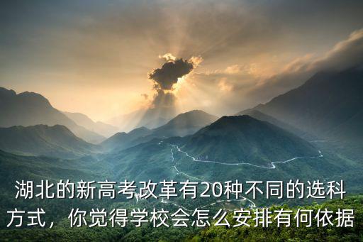 湖北的新高考改革有20種不同的選科方式，你覺得學校會怎么安排有何依據
