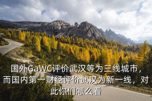 外網(wǎng)怎么評(píng)論武漢,外國網(wǎng)友是怎么評(píng)論武漢的