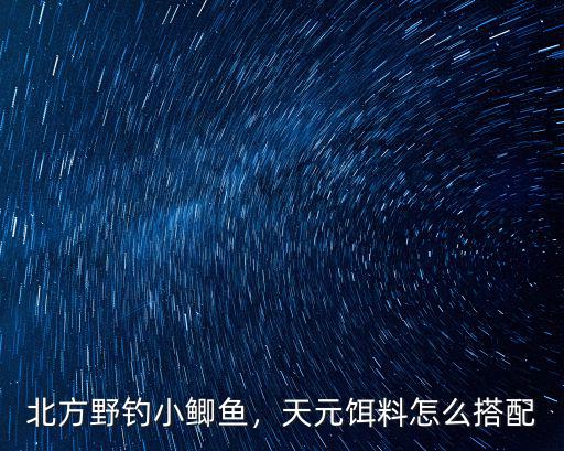 北方野釣小鯽魚，天元餌料怎么搭配