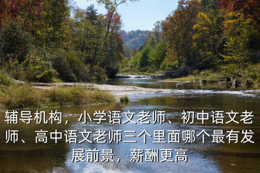 輔導機構，小學語文老師、初中語文老師、高中語文老師三個里面哪個最有發展前景，薪酬更高