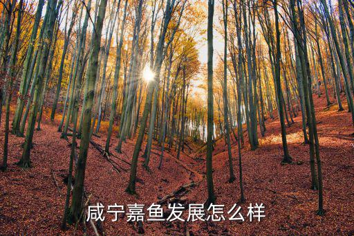 咸寧嘉魚發展怎么樣