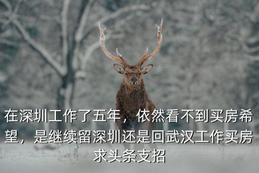 在深圳工作了五年，依然看不到買房希望，是繼續留深圳還是回武漢工作買房求頭條支招