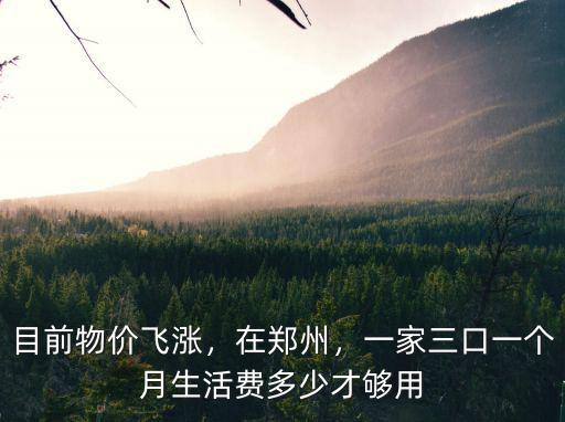 目前物價飛漲，在鄭州，一家三口一個月生活費多少才夠用