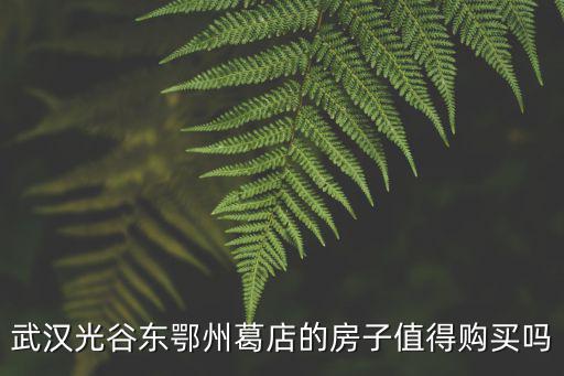武漢光谷東鄂州葛店的房子值得購買嗎