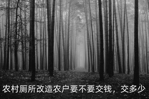 農(nóng)村廁所改造農(nóng)戶要不要交錢，交多少