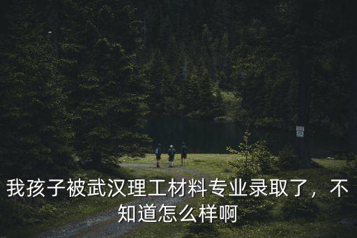 我孩子被武漢理工材料專業錄取了，不知道怎么樣啊