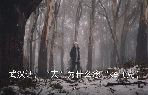 武漢話走開怎么說,不會說武漢話