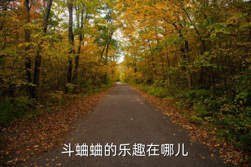 斗蛐蛐的樂趣在哪兒