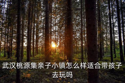 武漢桃源集親子小鎮(zhèn)怎么樣適合帶孩子去玩嗎