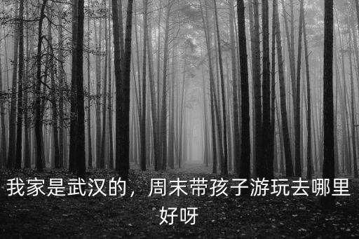 我家是武漢的，周末帶孩子游玩去哪里好呀