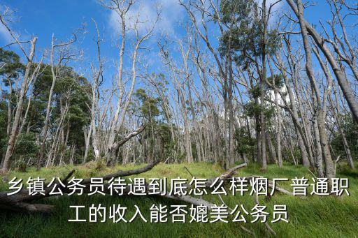 湖北天門市鄉(xiāng)鎮(zhèn)公務(wù)員待遇怎么樣,鄉(xiāng)鎮(zhèn)公務(wù)員待遇怎么樣