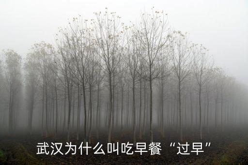 70年代武漢怎么過早,武漢人怎么過早