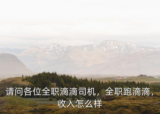 請問各位全職滴滴司機，全職跑滴滴，收入怎么樣