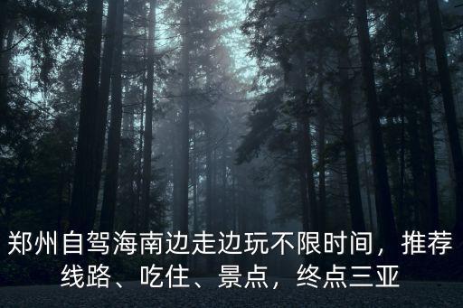 鄭州自駕海南邊走邊玩不限時間，推薦線路、吃住、景點，終點三亞