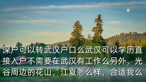 深戶可以轉武漢戶口么武漢可以學歷直接入戶不需要在武漢有工作么另外，光谷周邊的花山，江夏怎么樣，合適我么