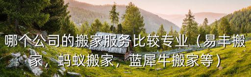武漢藍犀牛搬家怎么加入,藍犀牛搬家怎么樣