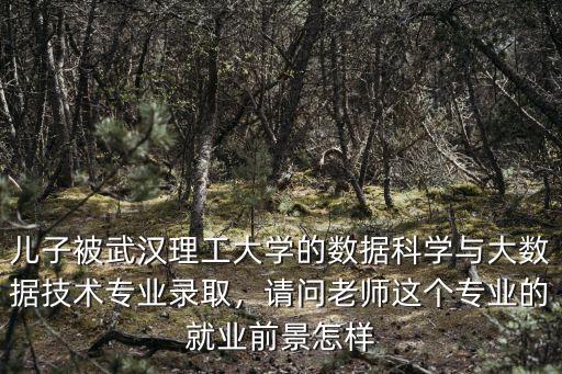 兒子被武漢理工大學的數據科學與大數據技術專業錄取，請問老師這個專業的就業前景怎樣