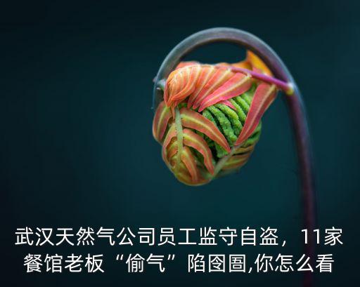 武漢天然氣公司怎么樣,武漢天然氣公司員工監守自盜