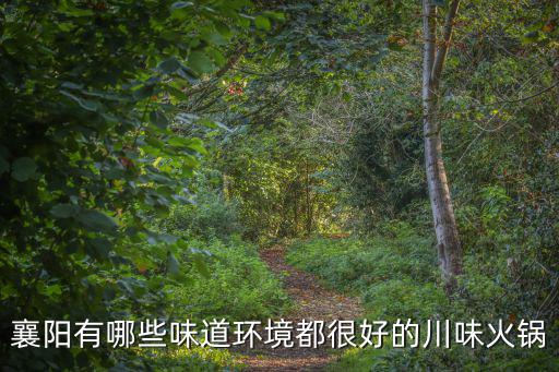 襄陽探店環(huán)境怎么樣,你覺得襄陽怎么樣