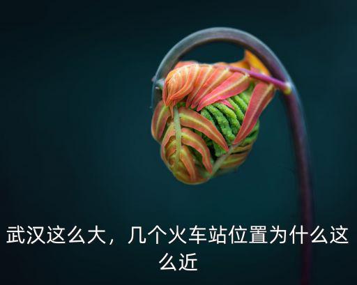 武漢這么大，幾個(gè)火車站位置為什么這么近