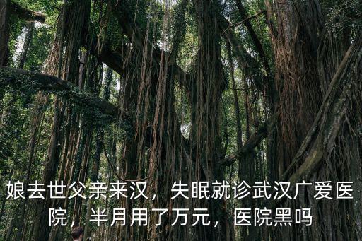 娘去世父親來漢，失眠就診武漢廣愛醫院，半月用了萬元，醫院黑嗎