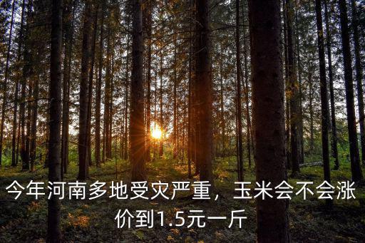 今年河南多地受災嚴重，玉米會不會漲價到1.5元一斤