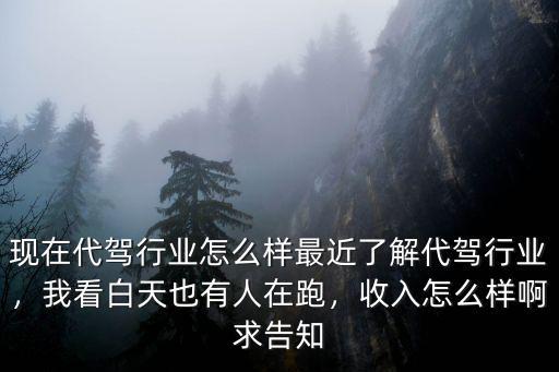 宜昌代駕怎么樣,現(xiàn)在代駕行業(yè)怎么樣