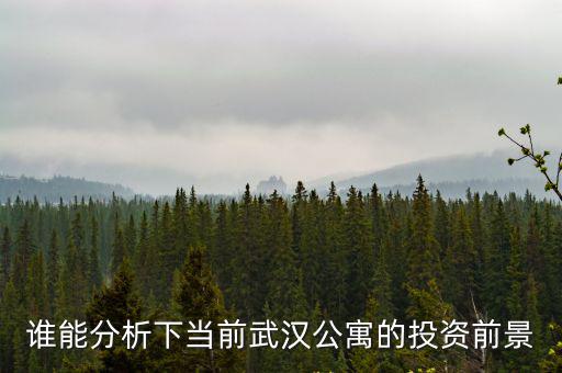 誰能分析下當前武漢公寓的投資前景