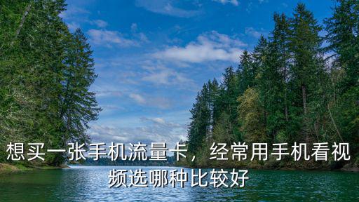 想買一張手機流量卡，經常用手機看視頻選哪種比較好