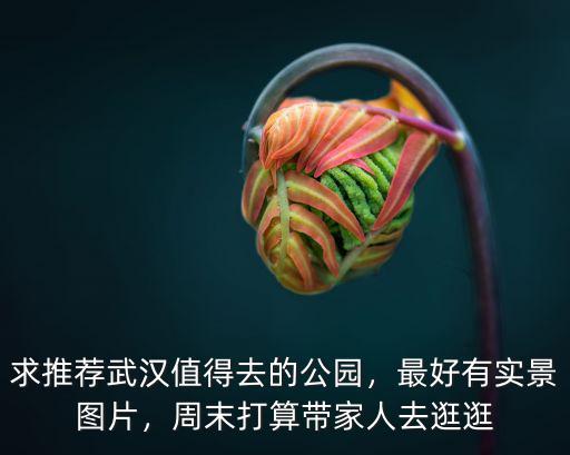 武漢蛇山公園怎么上去,武漢有哪些公園值得一去啊