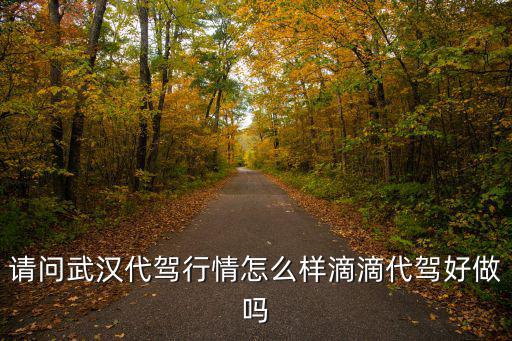 請問武漢代駕行情怎么樣滴滴代駕好做嗎