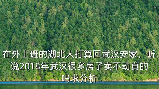 在外上班的湖北人打算回武漢安家，聽說2018年武漢很多房子賣不動真的嗎求分析
