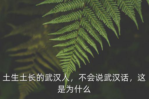 土生土長的武漢人，不會說武漢話，這是為什么