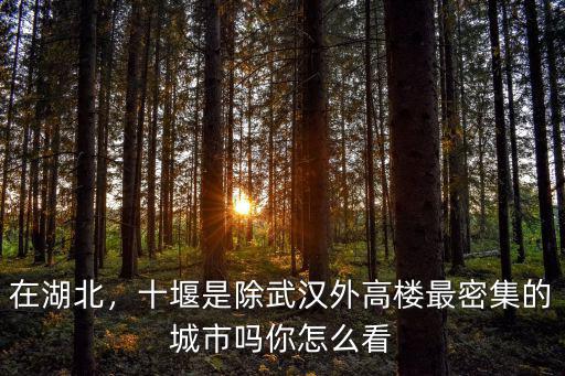 怎么畫一個人在十堰,十堰人在二汽上班