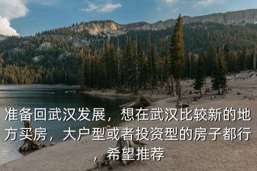 準備回武漢發展，想在武漢比較新的地方買房，大戶型或者投資型的房子都行，希望推薦