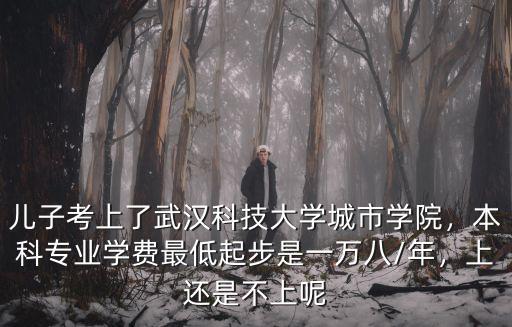 兒子考上了武漢科技大學城市學院，本科專業(yè)學費最低起步是一萬八/年，上還是不上呢