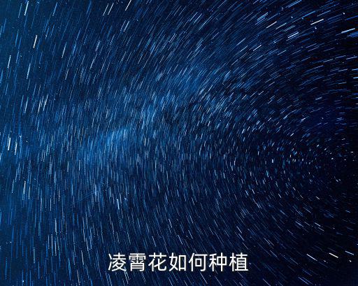 湖北怎么種好凌霄花,凌霄花如何種植