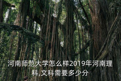 河南師范大學(xué)怎么樣2019年河南理科,文科需要多少分
