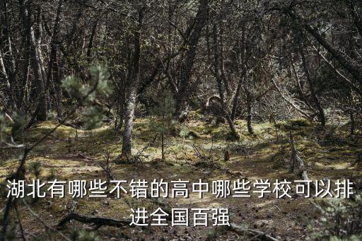 武漢想進好的高中怎么辦,武漢初三沒有考上高中怎么辦