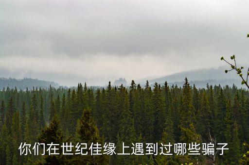 武漢世紀佳緣待遇怎么樣,世紀佳緣怎么樣