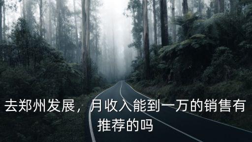 去鄭州發展，月收入能到一萬的銷售有推薦的嗎