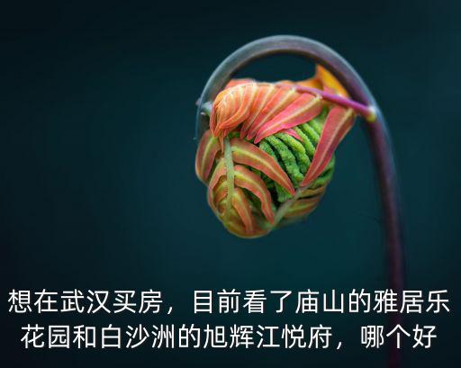 武漢房姐 白沙洲和文化大道怎么選,武漢白沙洲和東西湖