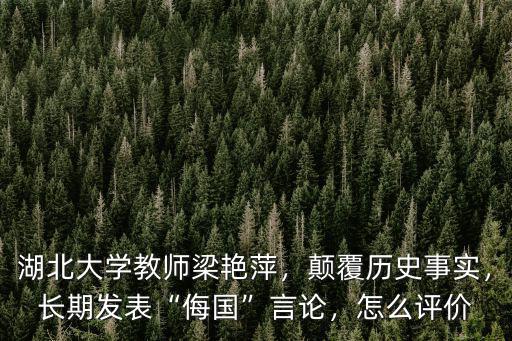 湖北大學教師梁艷萍，顛覆歷史事實，長期發表“侮國”言論，怎么評價