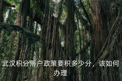 武漢積分落戶政策要積多少分，該如何辦理