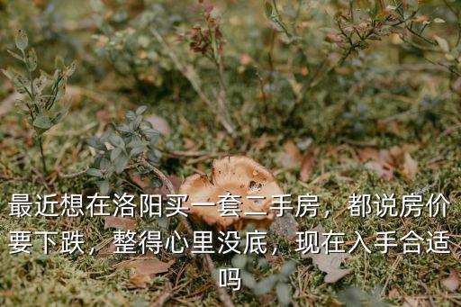 洛陽買一套房子大概多少,最近想在洛陽買一套二手房