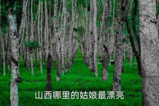 山西哪里的姑娘最漂亮