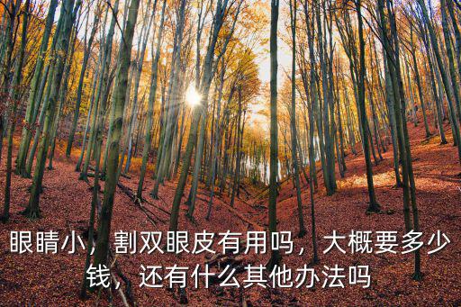 鄭州割雙眼皮需要多少錢一次大寨,割雙眼皮有用嗎