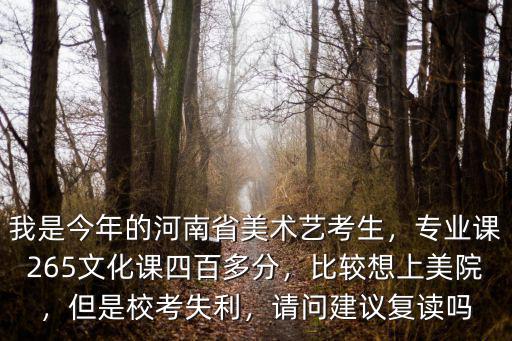 河南美術生專業課滿分是多少,我是今年的河南省美術藝考生
