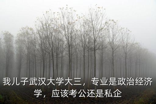 武漢大學經管院大三專業怎么分,我兒子武漢大學大三